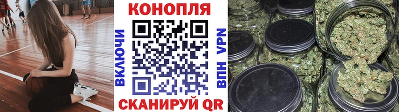 Купить  Олонец  Каннабис планчик 